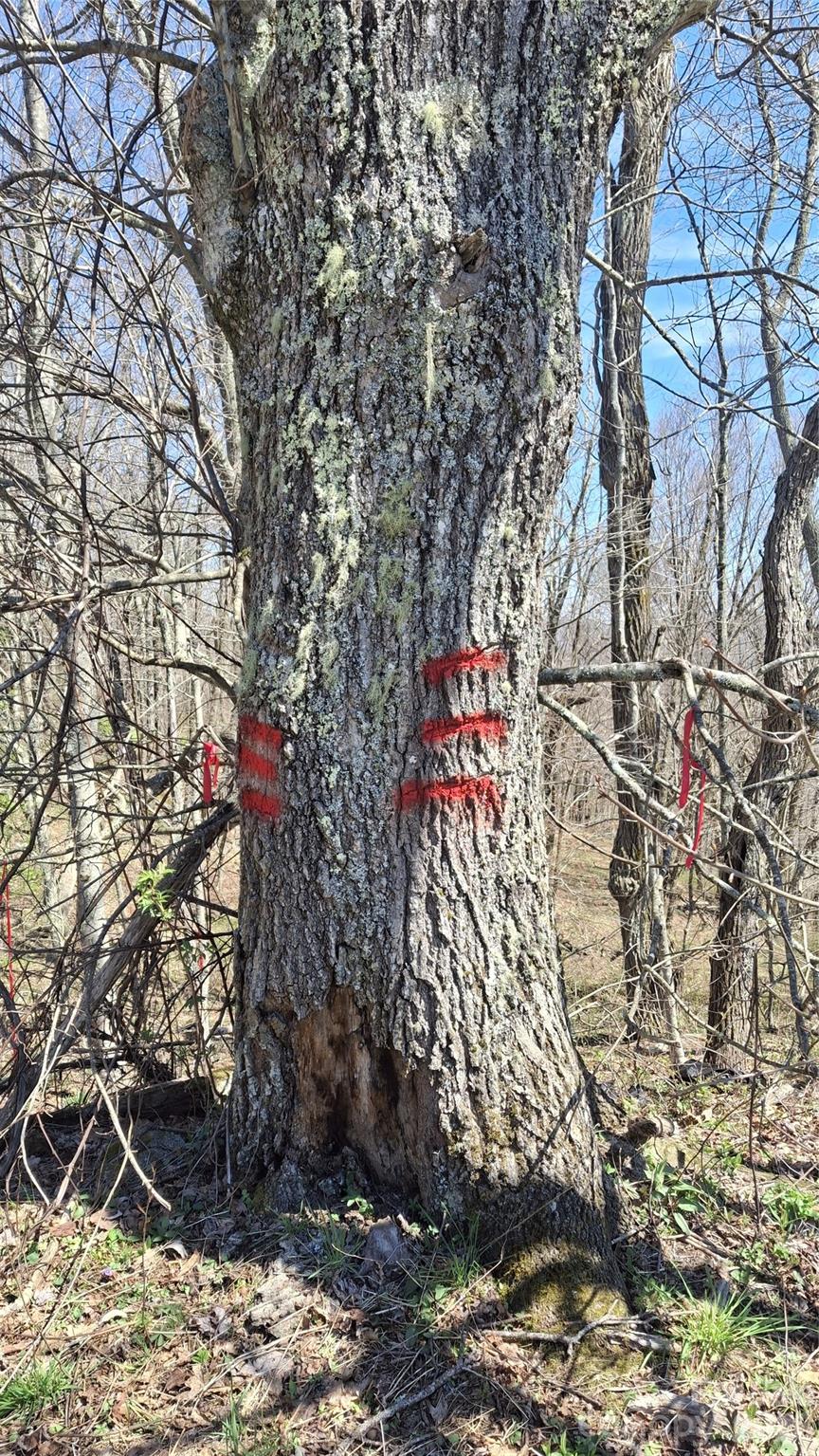 0 Big Ridge Road Glenville, NC 28736 - Photo 26 of 27