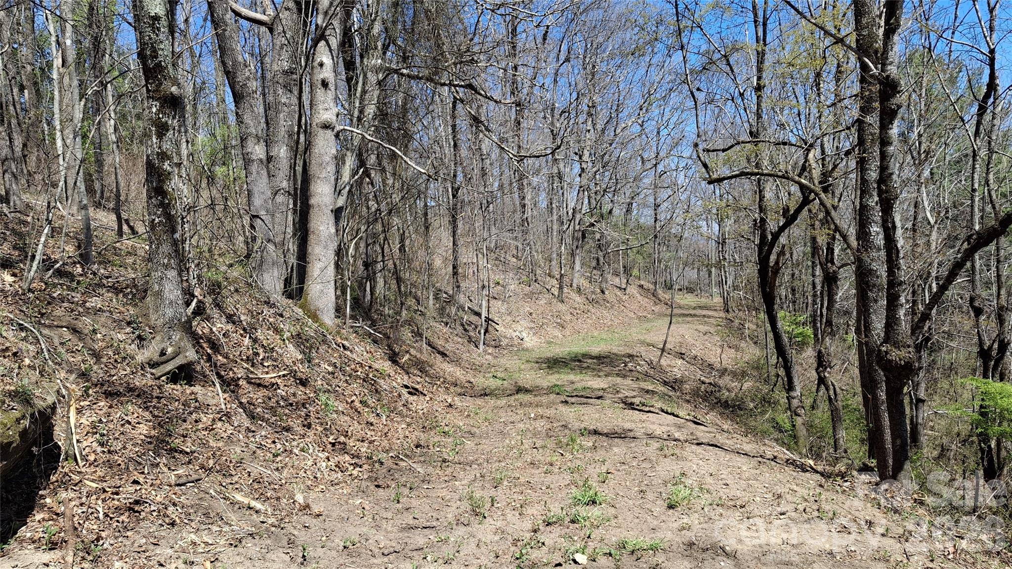 0 Big Ridge Road Glenville, NC 28736 - Photo 3 of 27