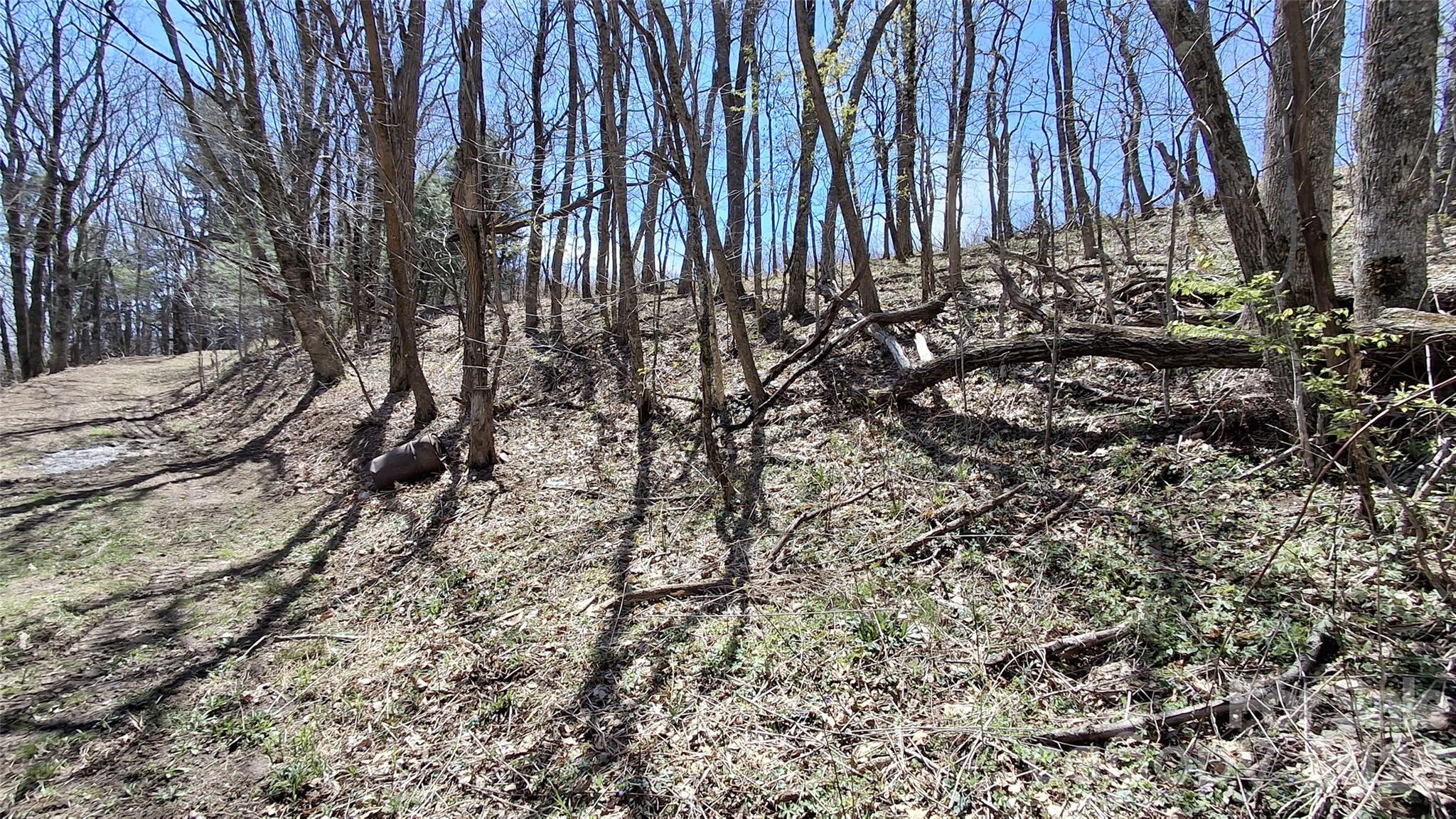 0 Big Ridge Road Glenville, NC 28736 - Photo 4 of 27