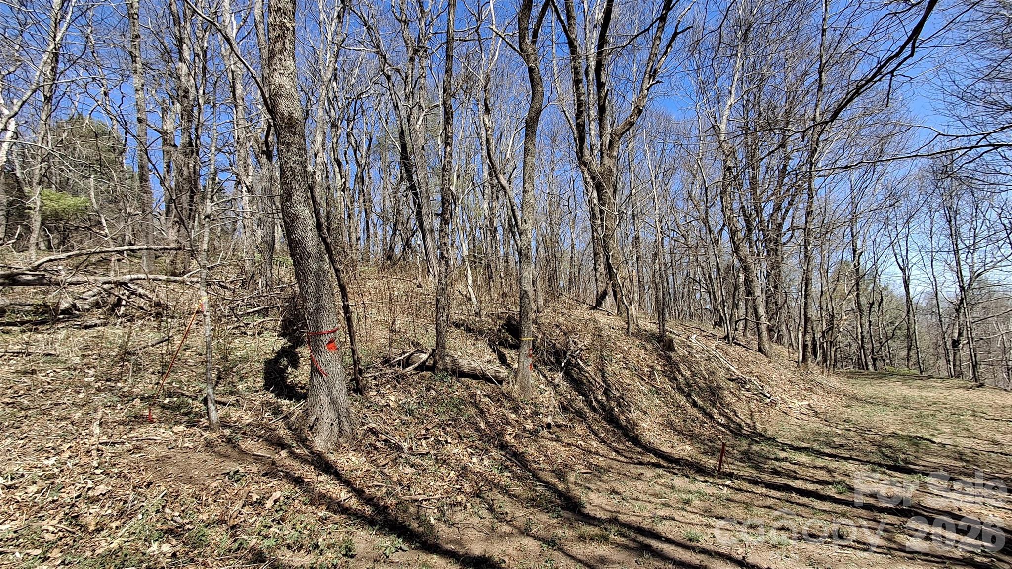 0 Big Ridge Road Glenville, NC 28736 - Photo 5 of 27