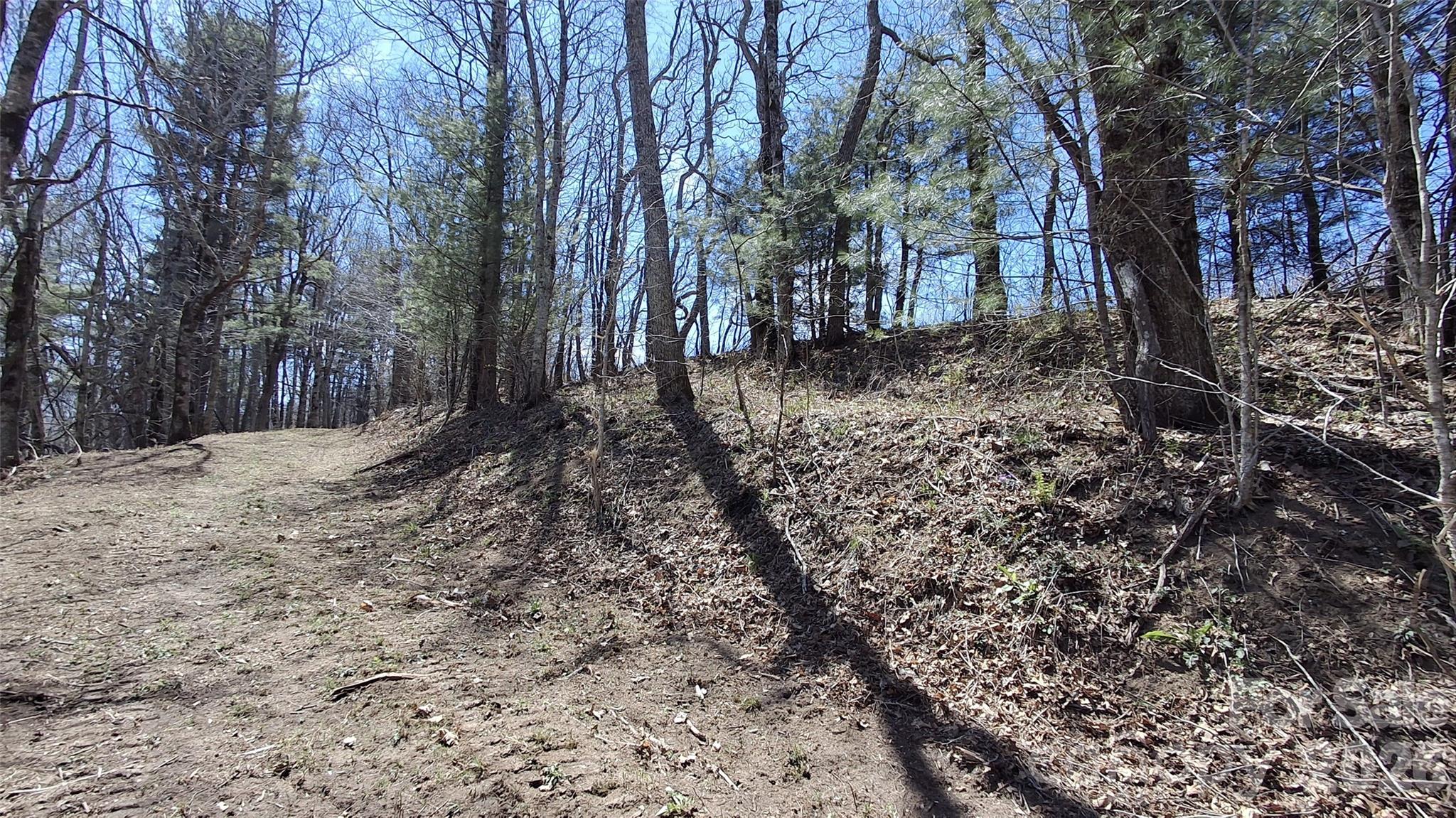 0 Big Ridge Road Glenville, NC 28736 - Photo 6 of 27