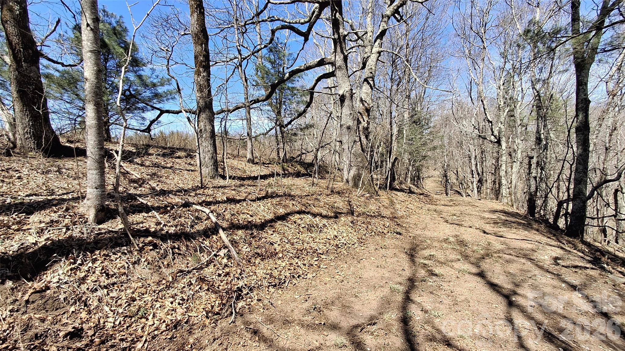 0 Big Ridge Road Glenville, NC 28736 - Photo 8 of 27