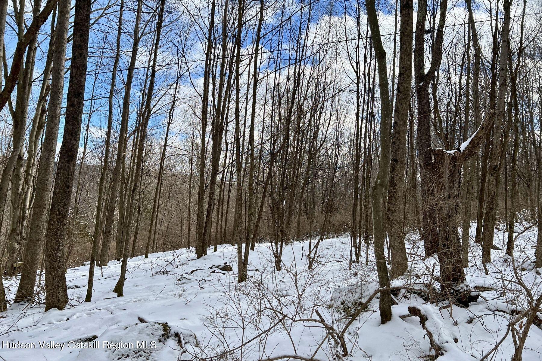 8-11 Henry Williams Road Roxbury, NY 12474 - Photo 17 of 23 17