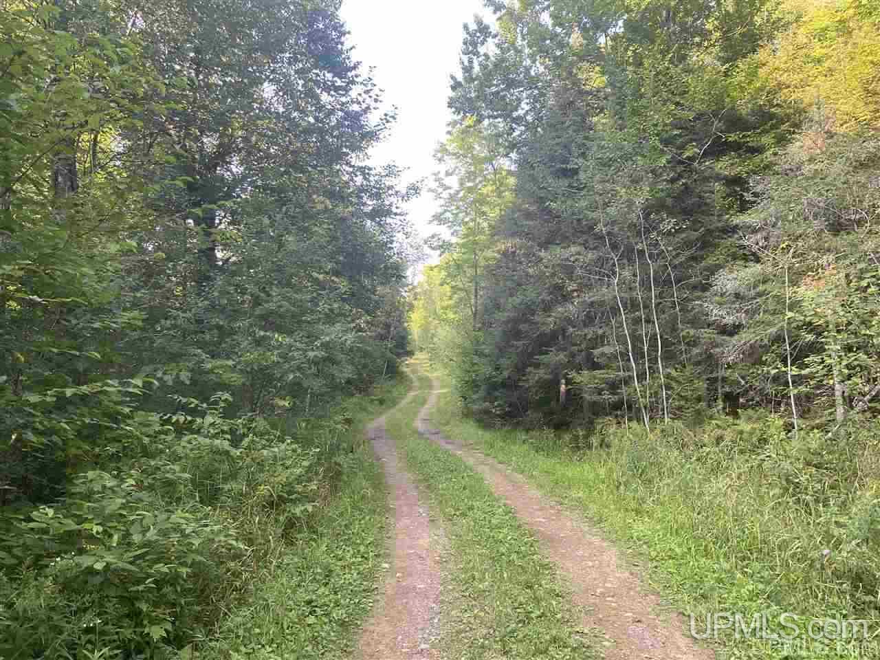Off Off M64s Bessemer, MI 49911 - Photo 21 of 33