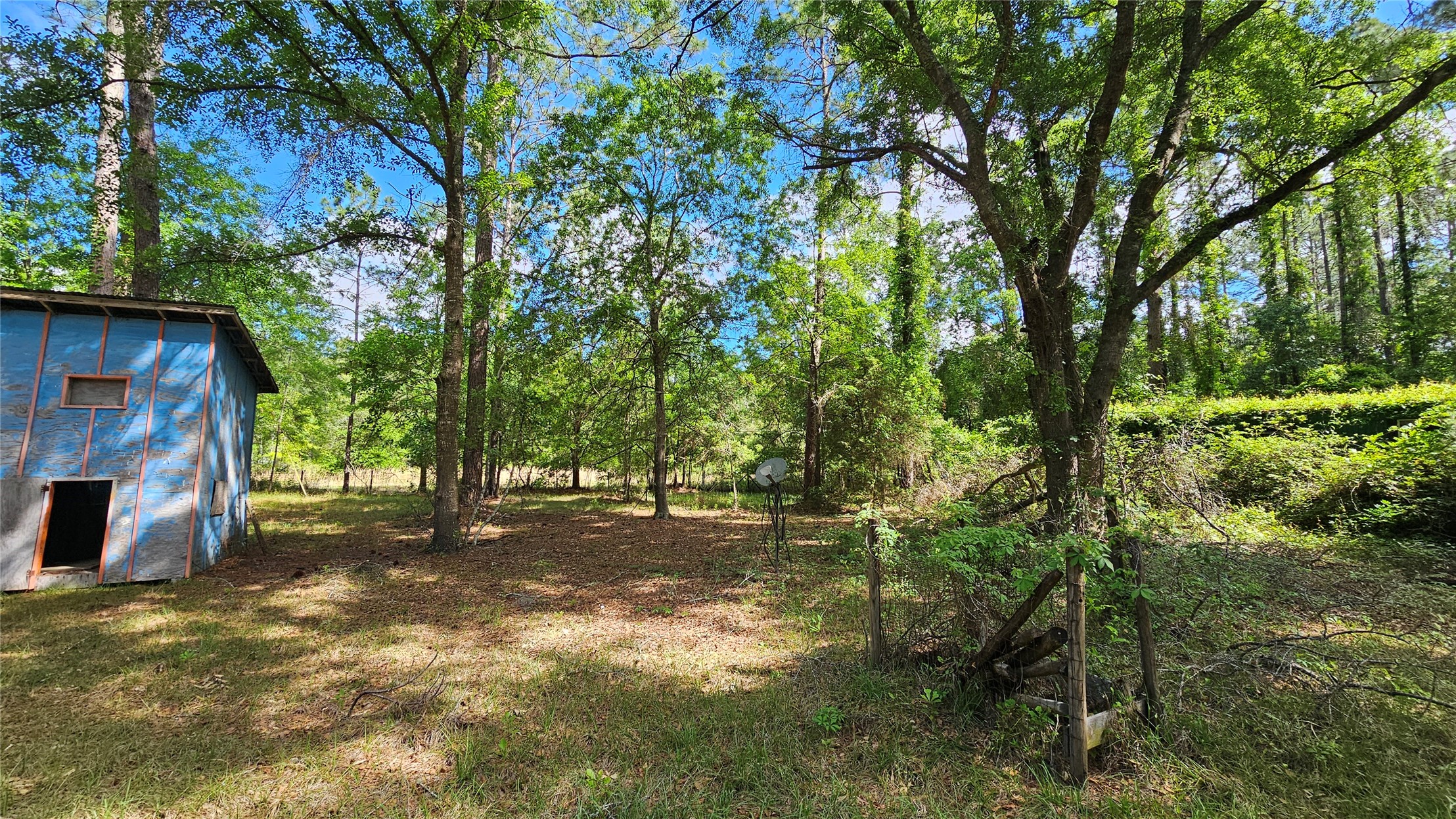 6324 Lannie Road Jacksonville, FL 32218 - Photo 28 of 60