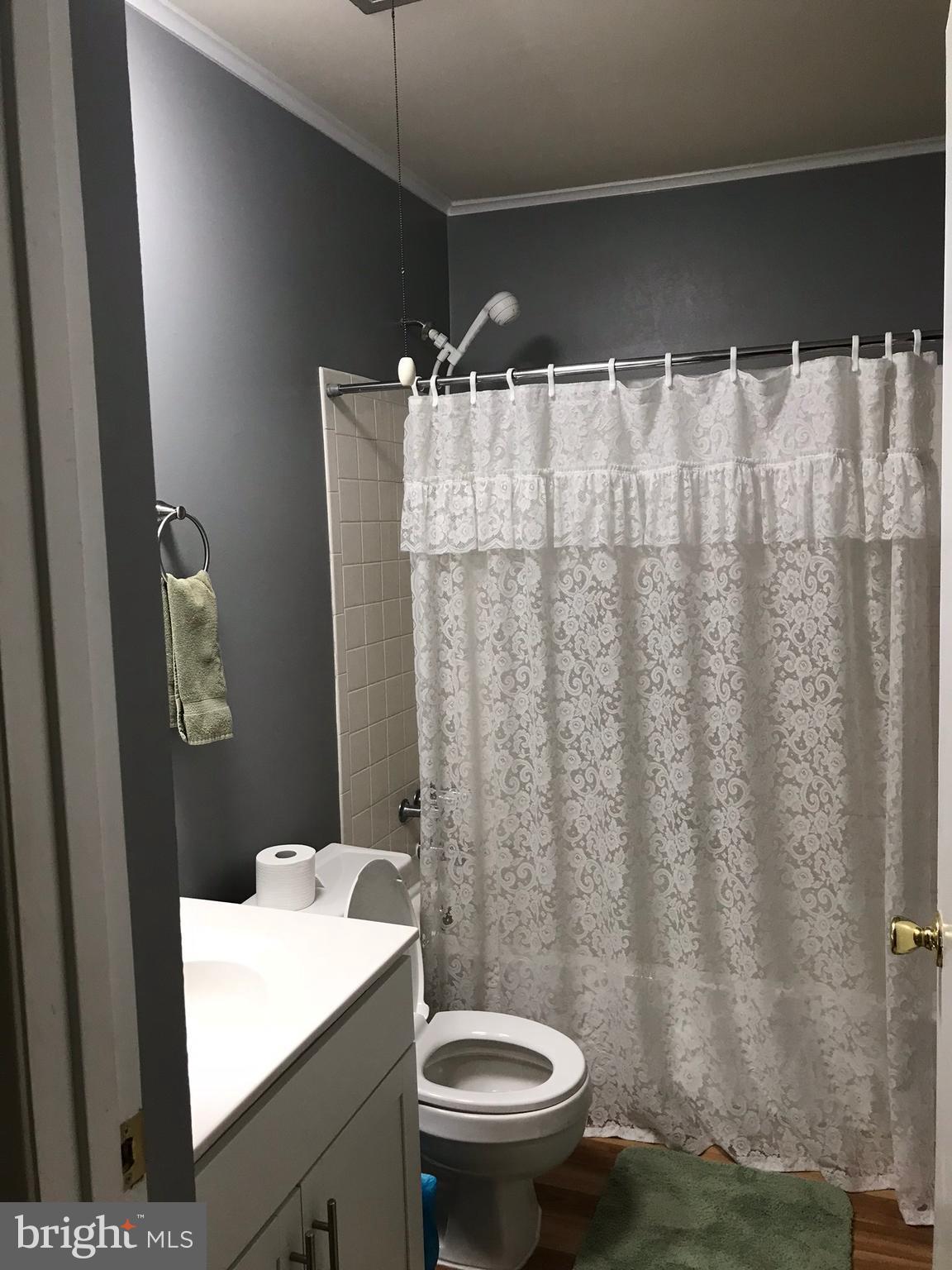 9449 Kilimanjaro Road Columbia, MD 21045 - Photo 16 of 30 Updated Bath (Master)