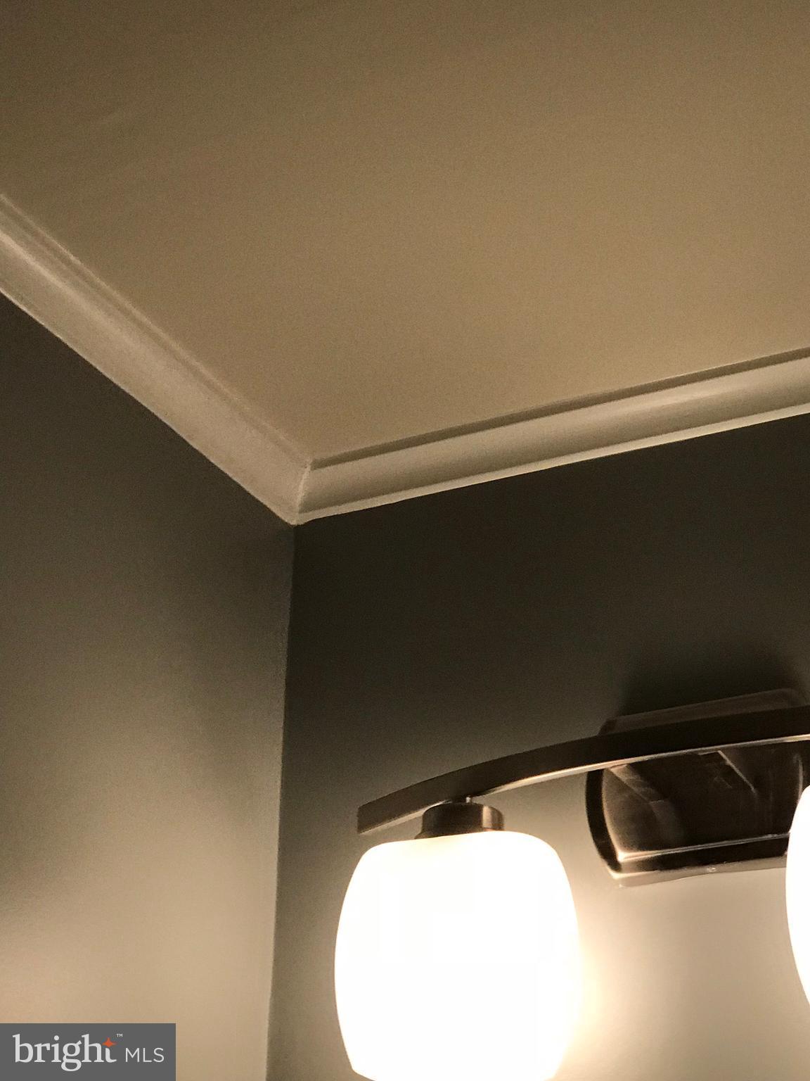 9449 Kilimanjaro Road Columbia, MD 21045 - Photo 20 of 30 Updated Powder Room with Crown Molding