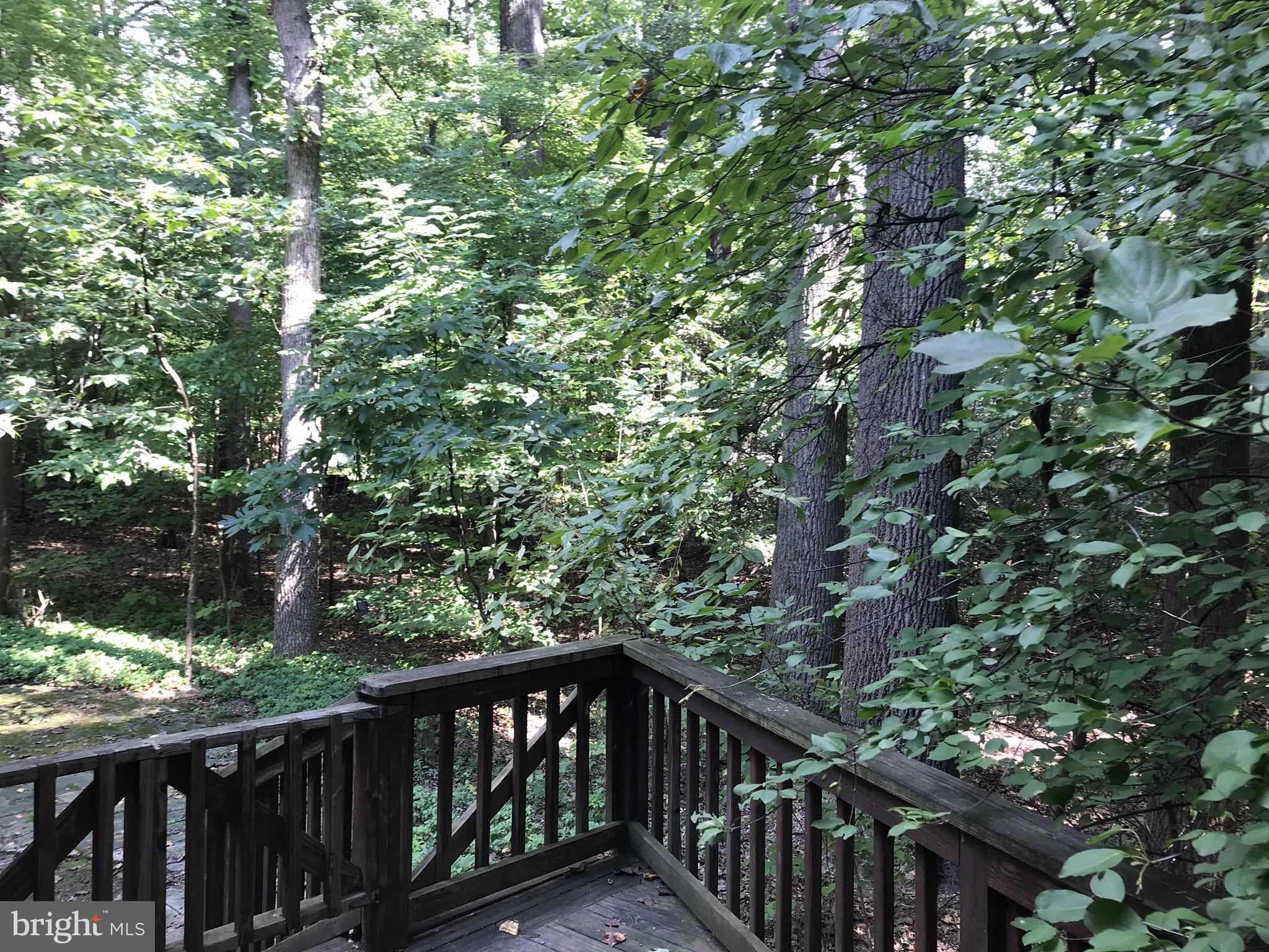9449 Kilimanjaro Road Columbia, MD 21045 - Photo 27 of 30 Wooded Backyard