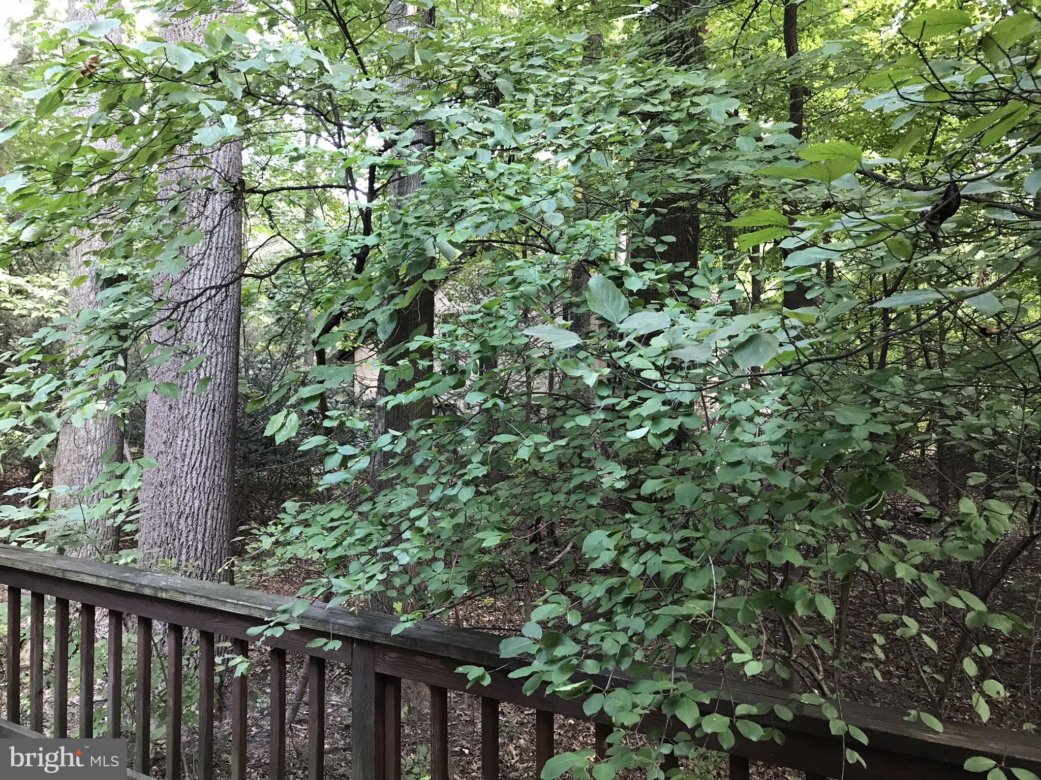 9449 Kilimanjaro Road Columbia, MD 21045 - Photo 28 of 30 Wooded Backyard