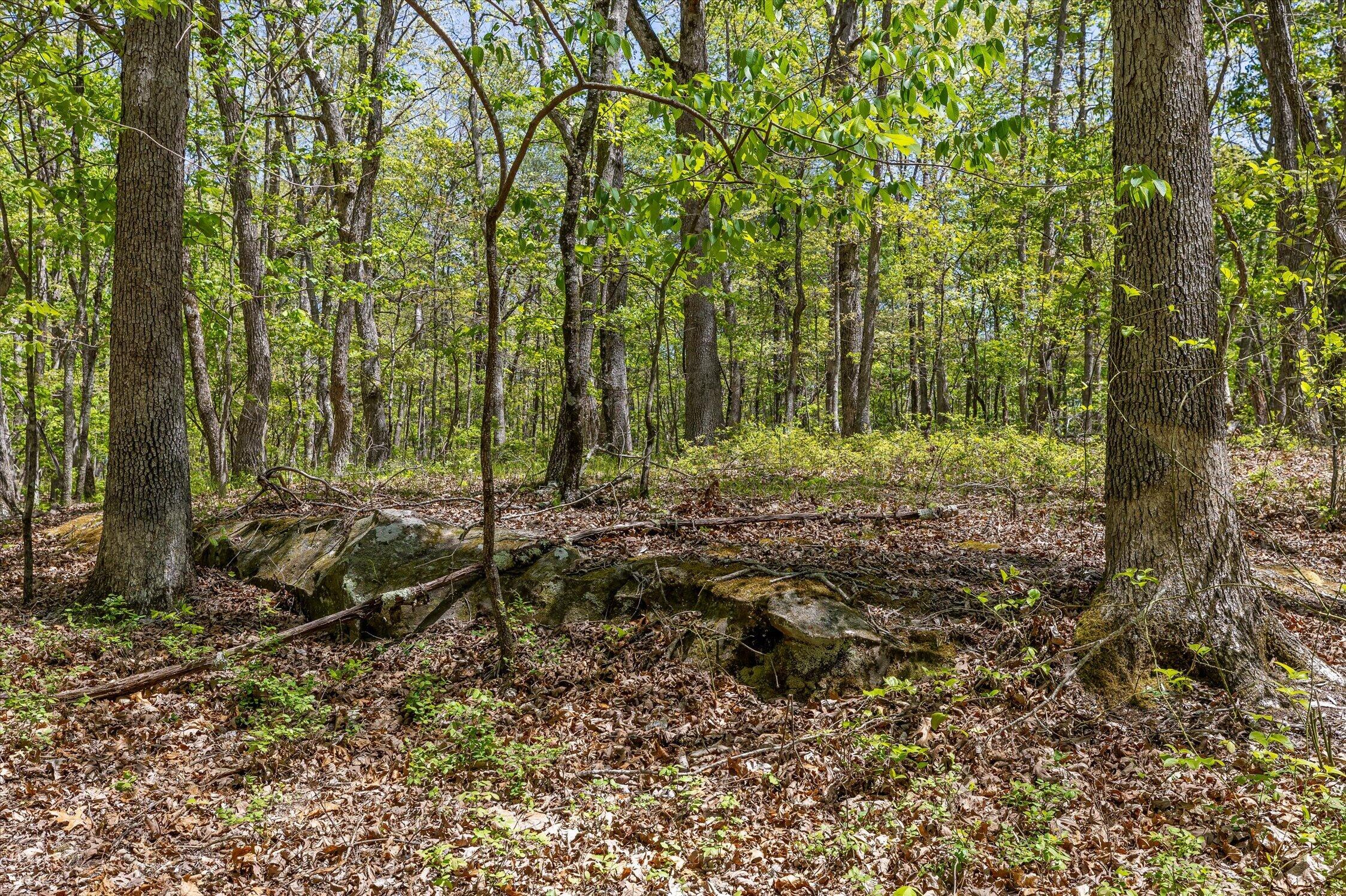 0 Deepwoods Road, Unit 16 Sewanee, TN 37375 - Photo 24 of 51 24-Deepwoods-24