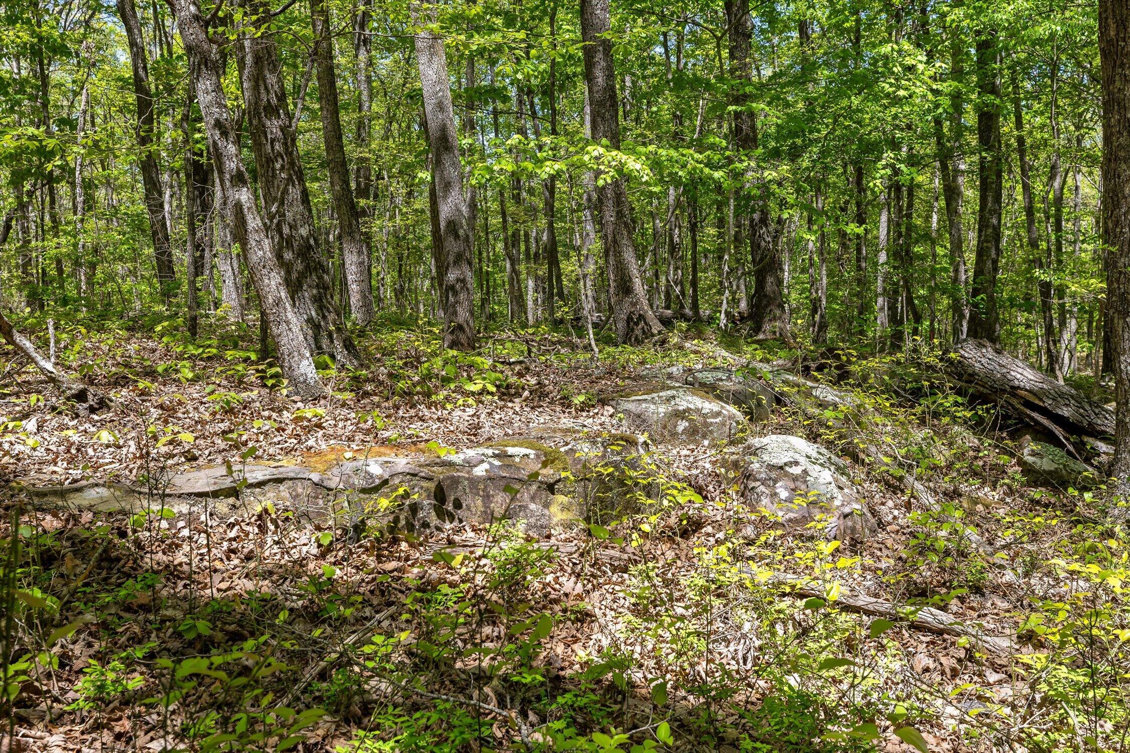 0 Deepwoods Road, Unit 16 Sewanee, TN 37375 - Photo 27 of 51 20-Deepwoods-20