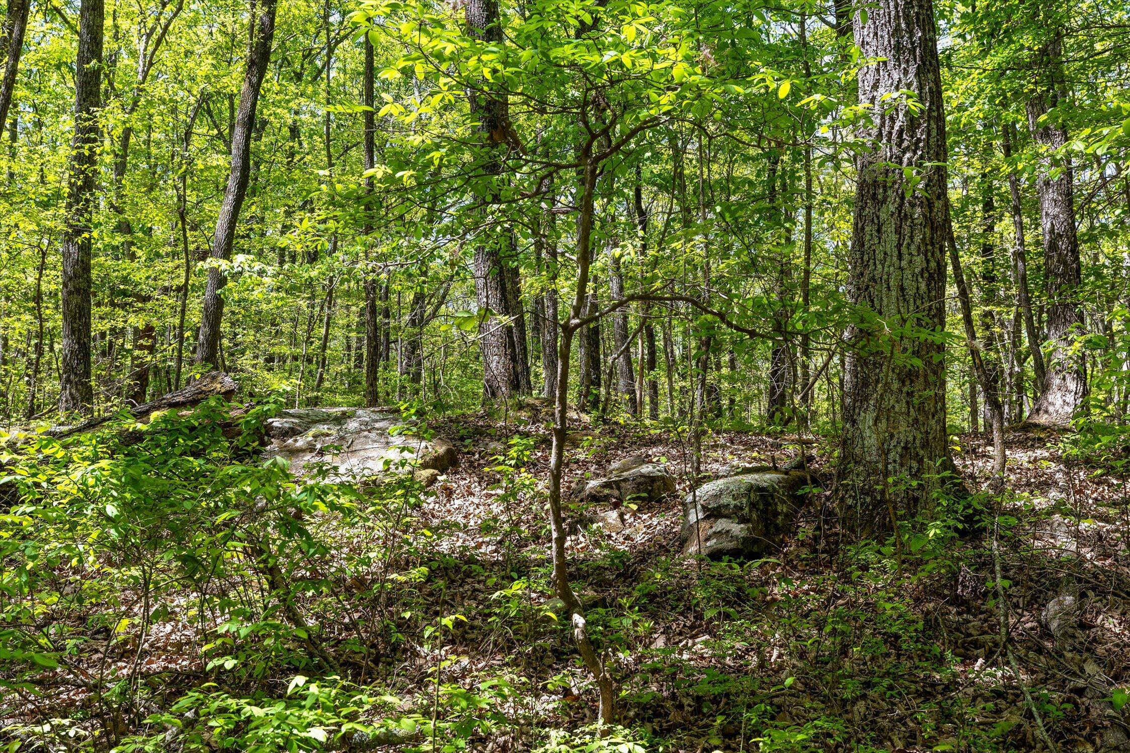 0 Deepwoods Road, Unit 16 Sewanee, TN 37375 - Photo 32 of 51 17-Deepwoods-17