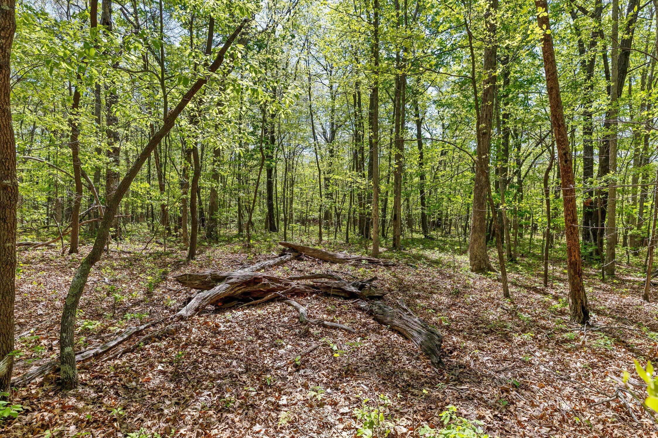 0 Deepwoods Road, Unit 16 Sewanee, TN 37375 - Photo 41 of 51 10-Deepwoods-10