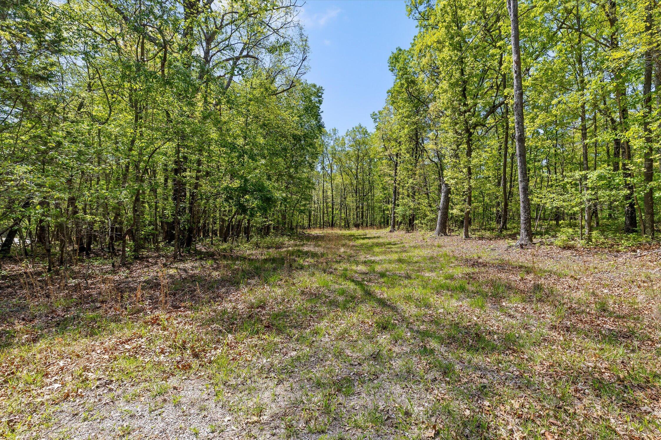 0 Deepwoods Road, Unit 16 Sewanee, TN 37375 - Photo 46 of 51 05-Deepwoods-5
