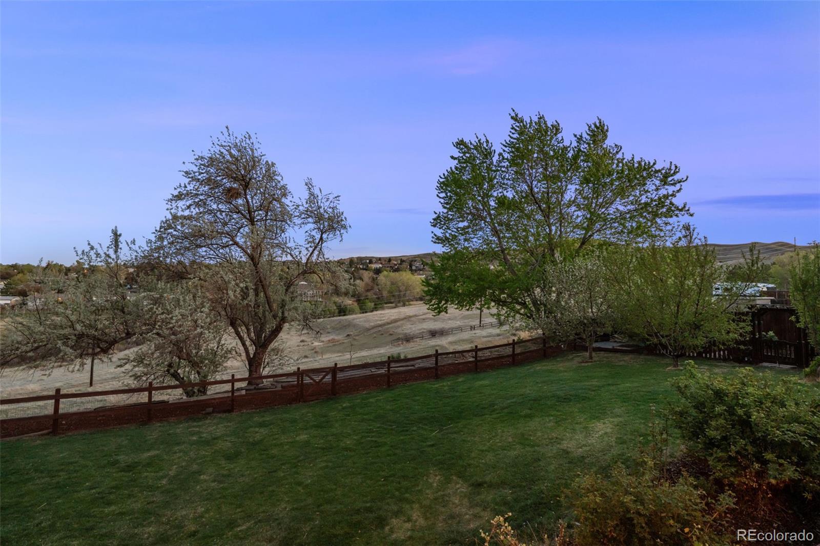 210 South Deframe Way Golden, CO 80401 - Photo 8 of 50 a view of a yard with an tree