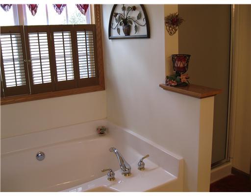 1572 Anderson Road Pittsburgh, PA 15209 - Photo 8 of 18 Master Bath/Spa.