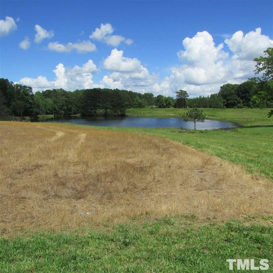 11.113-acres Tant Road Spring Hope, NC 27882 - Photo 2 of 10 a view of a lake in middle of the forest