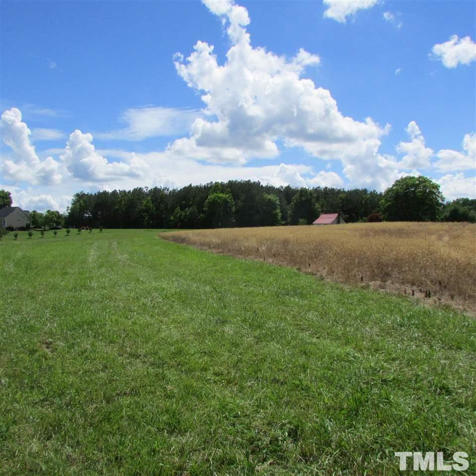11.113-acres Tant Road Spring Hope, NC 27882 - Photo 4 of 10 a view of field with tree in the background