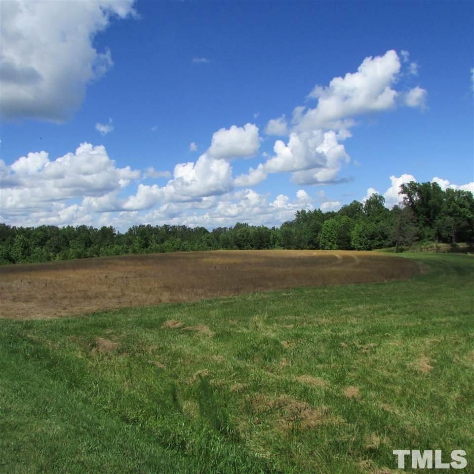 11.113-acres Tant Road Spring Hope, NC 27882 - Photo 7 of 10 a view of lake with green space