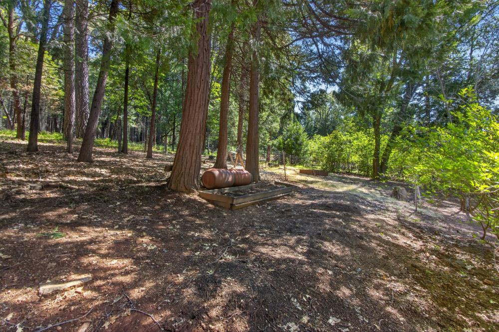 13090 North Day Road Grass Valley, CA 95945 - Photo 40 of 49