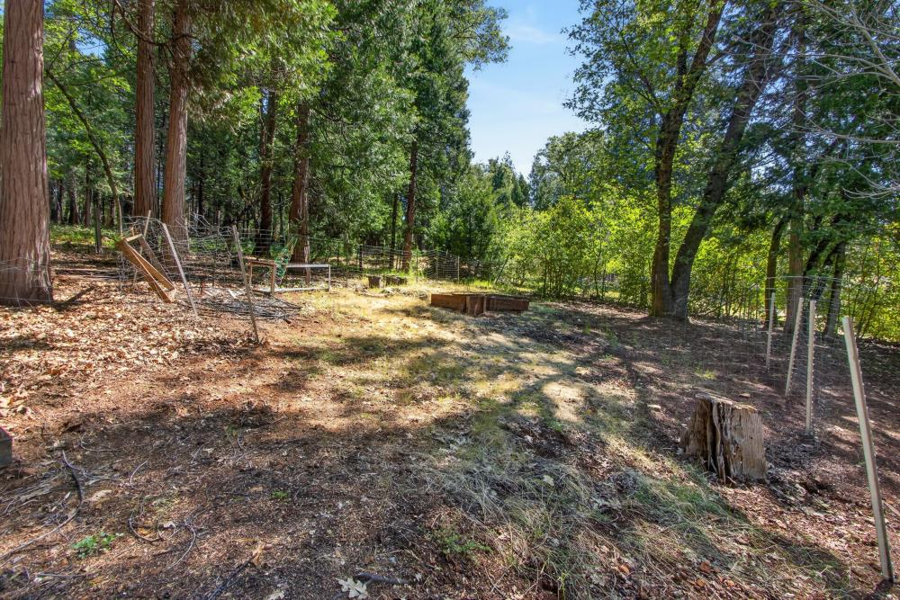 13090 North Day Road Grass Valley, CA 95945 - Photo 41 of 49