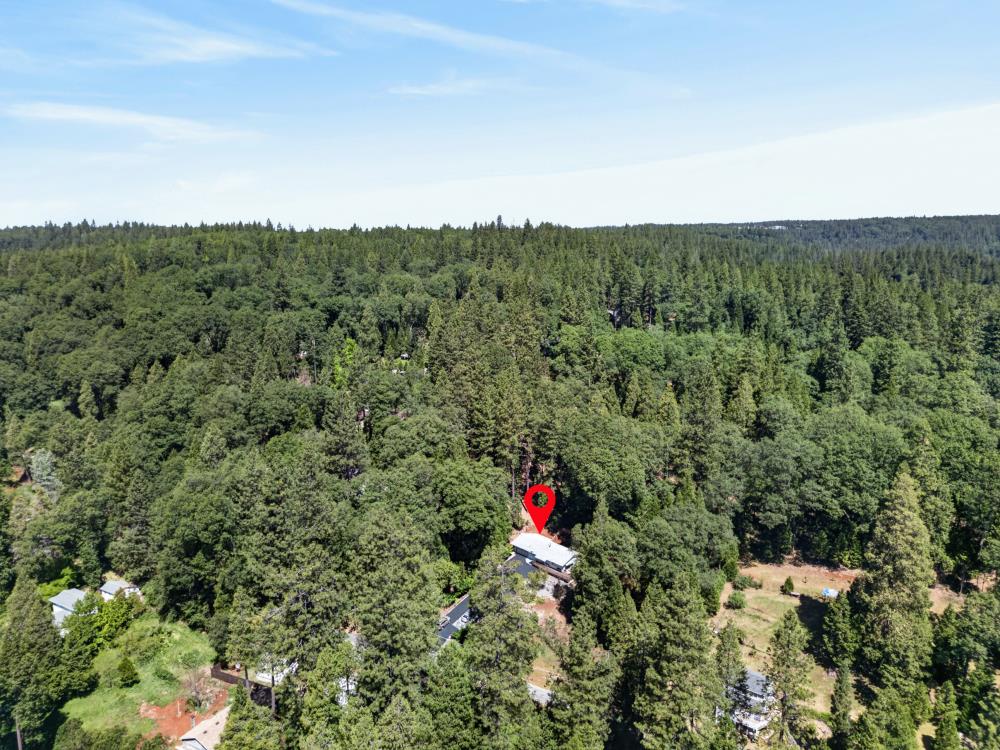 13090 North Day Road Grass Valley, CA 95945 - Photo 45 of 49