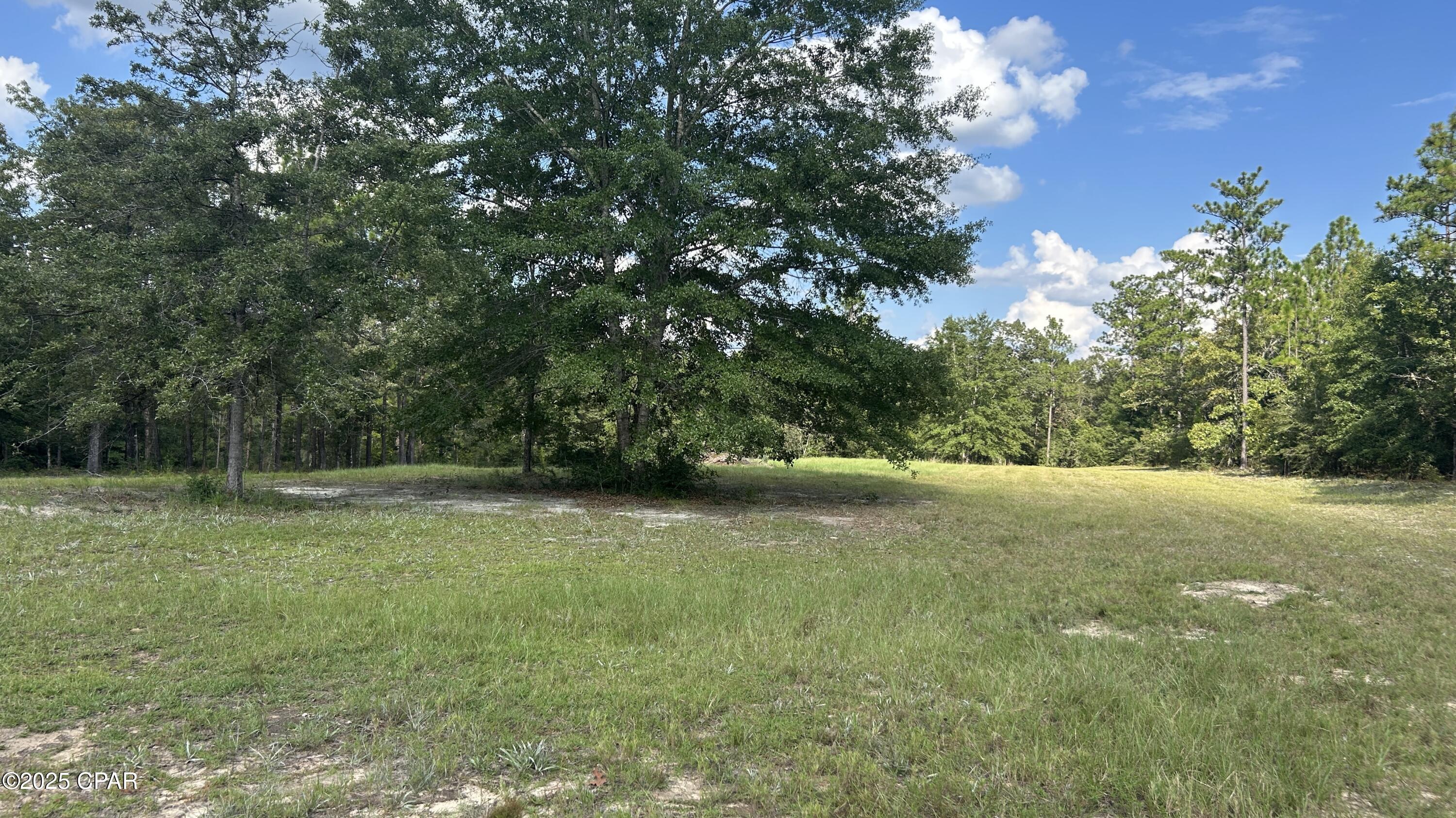 4264 Cleveland Road Baker, FL 32531 - Photo 7 of 36
