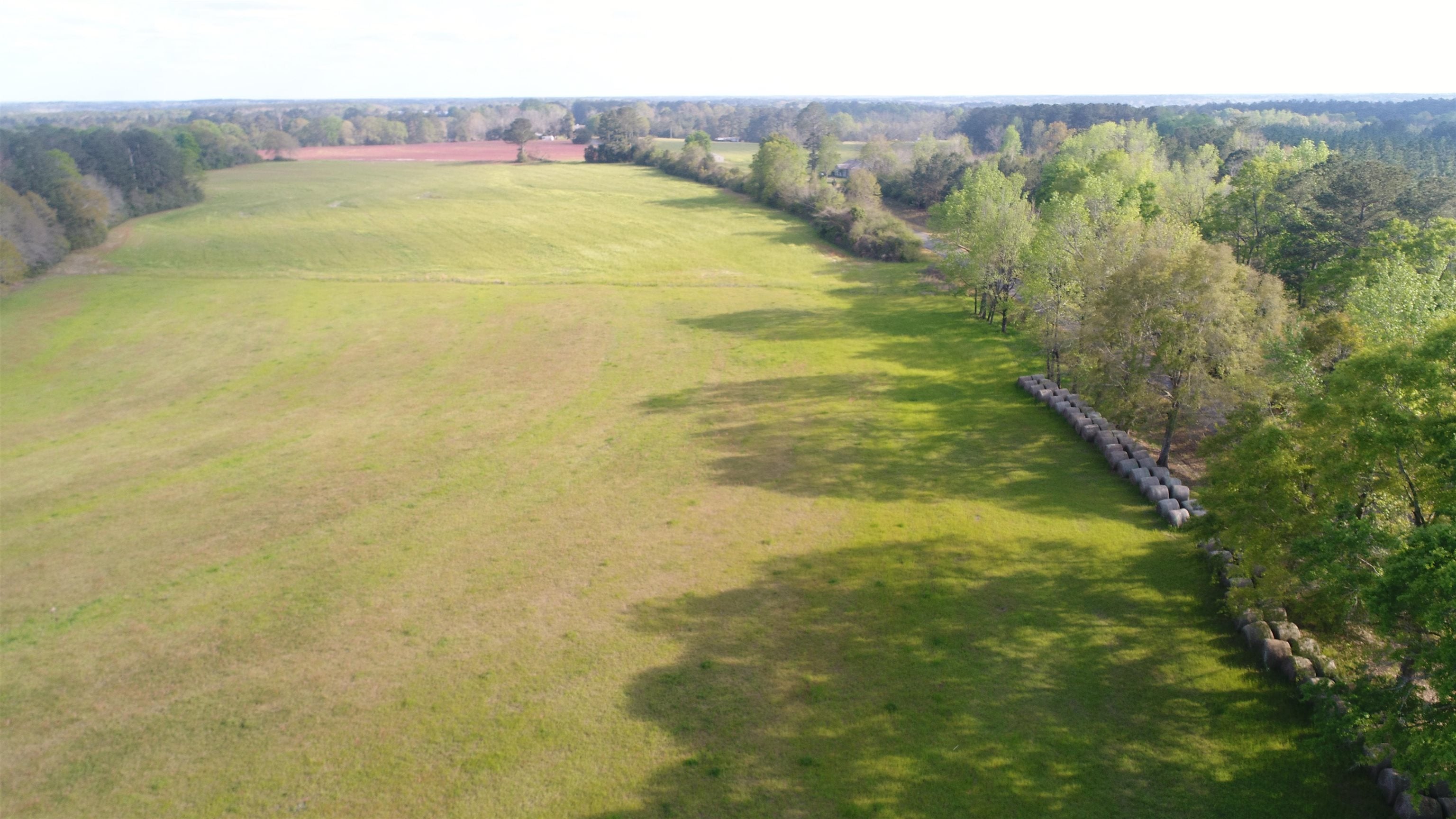0 Shoemaker Road Andalusia, AL 36421 - Photo 3 of 7 Gallery Image 3