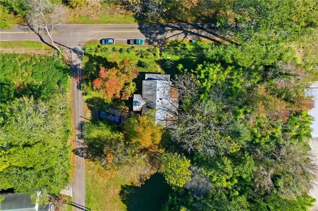 a view of a garden with plants