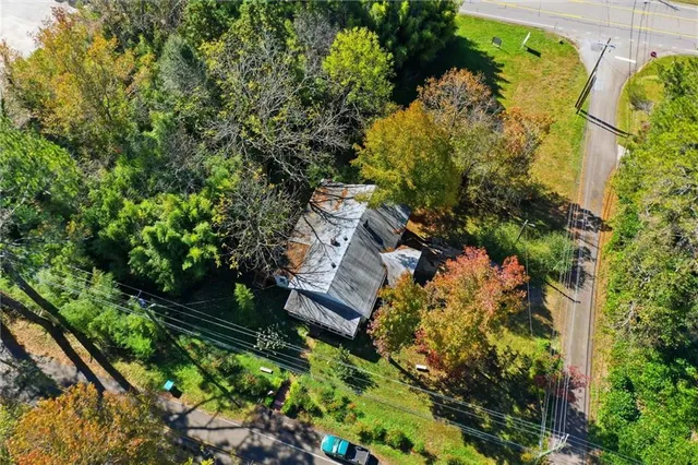 a view of a yard with plants and large trees