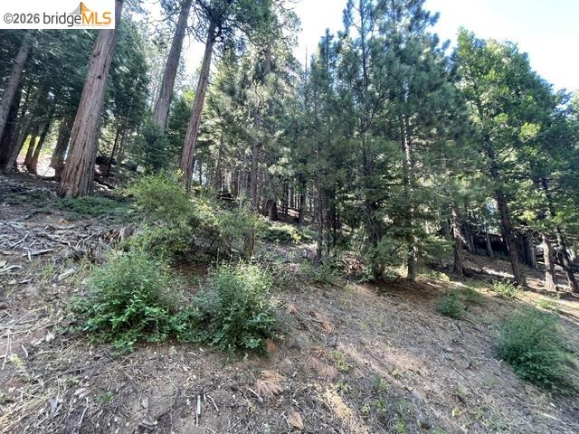 34 Snow Bowl Road Long Barn, CA 95335 - Photo 5 of 14 Gallery Image 5