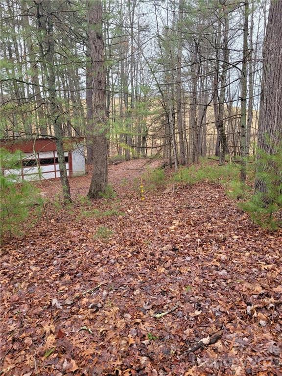 0 Hazel Brook Road Marshall, NC 28753 - Photo 3 of 10 Gallery Image 3