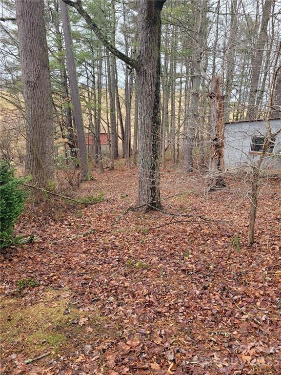 0 Hazel Brook Road Marshall, NC 28753 - Photo 4 of 10 Gallery Image 4