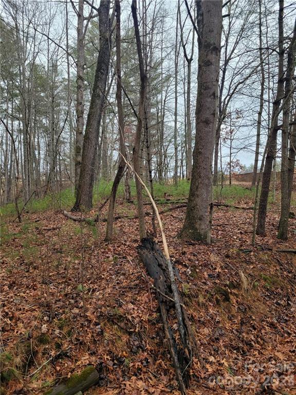 0 Hazel Brook Road Marshall, NC 28753 - Photo 5 of 10 Gallery Image 5