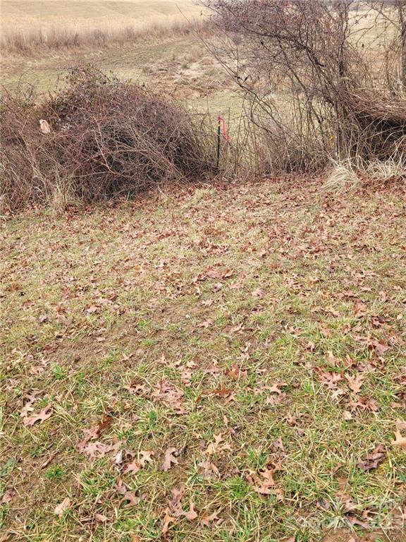 0 Hazel Brook Road Marshall, NC 28753 - Photo 7 of 10 Gallery Image 7