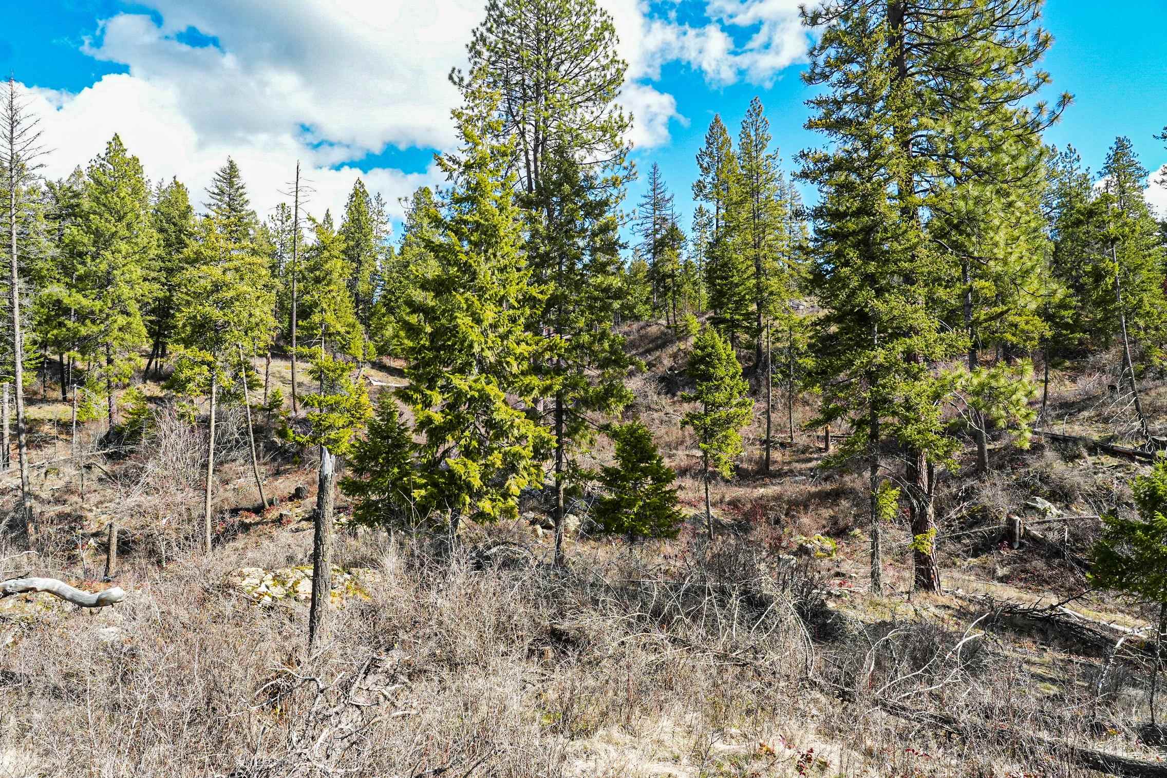 Xx Suther Lane Elk, WA 99009 - Photo 13 of 24
