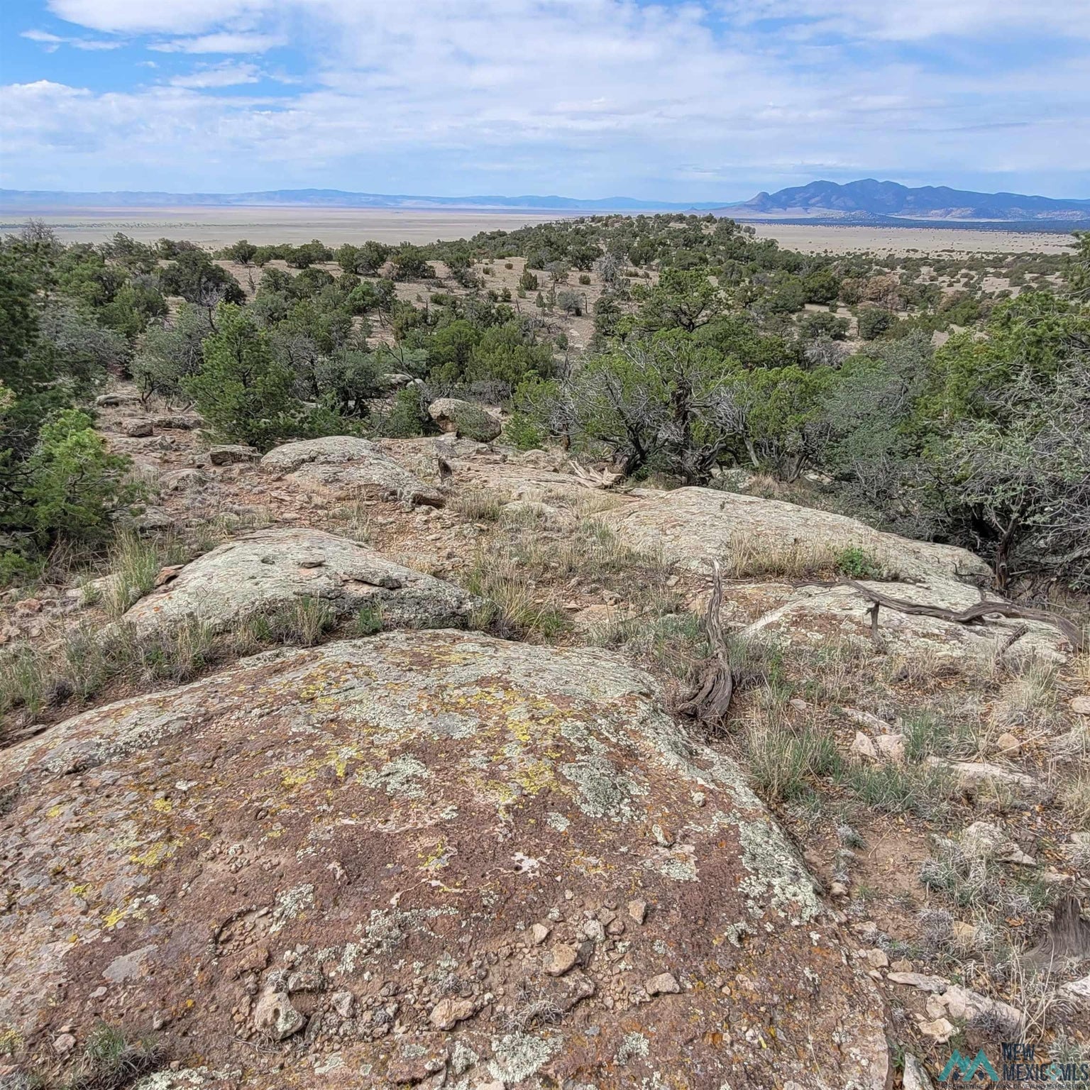0 Lookout Loop, Unit 89 Datil, NM 87821 - Photo 35 of 38 Gallery Image 35