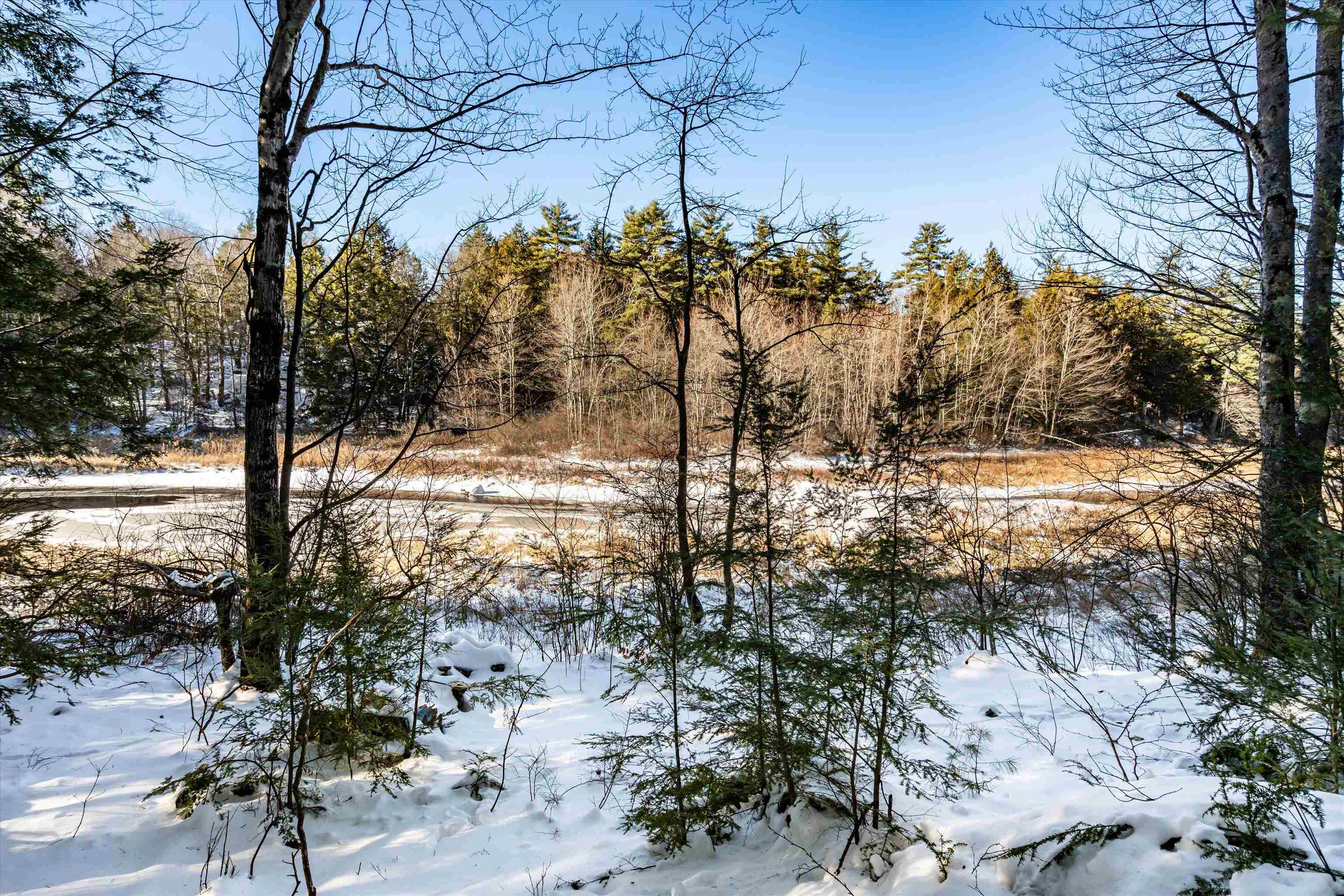 1639 Main Street Dublin, NH 03444 - Photo 31 of 34