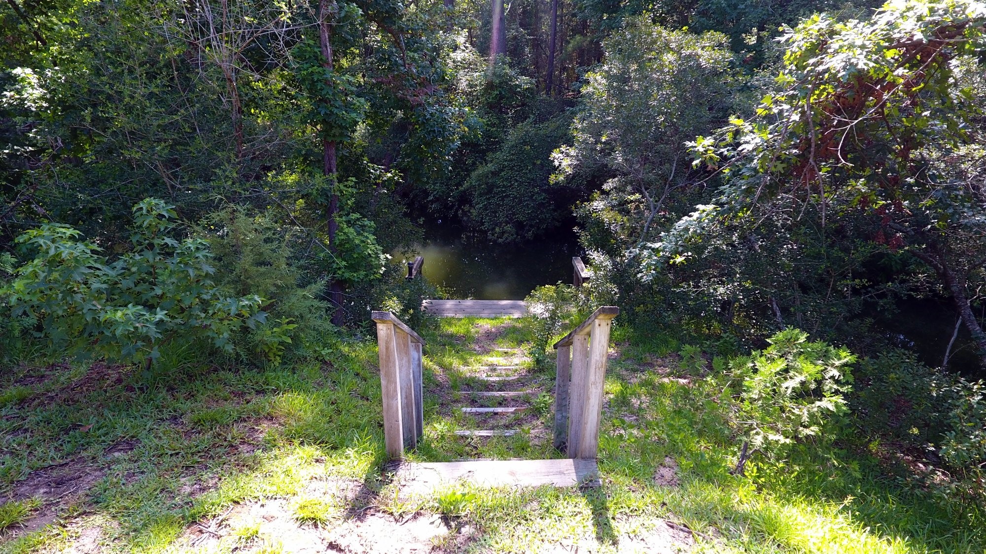 91 Bluejay Way Cleveland, TX 77327 - Photo 11 of 35 a view of a tree in a yard