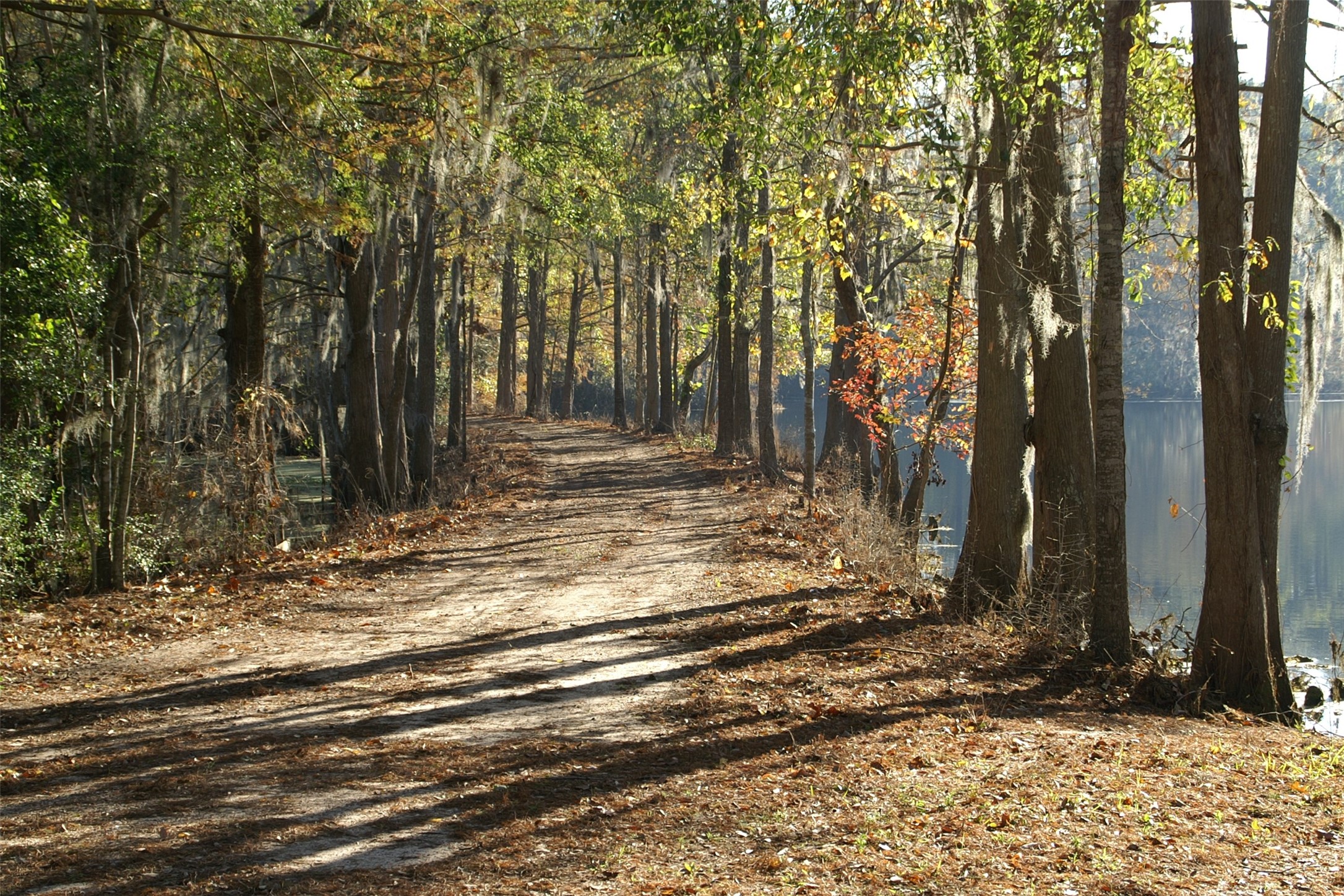 91 Bluejay Way Cleveland, TX 77327 - Photo 29 of 35 a view of a house with trees next to a road