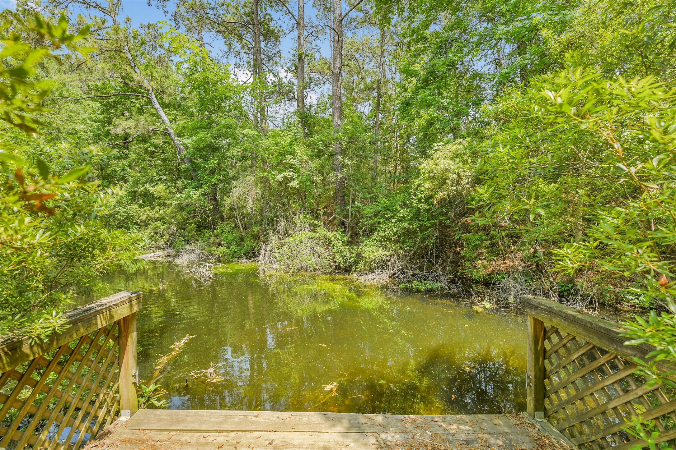 91 Bluejay Way Cleveland, TX 77327 - Photo 10 of 50