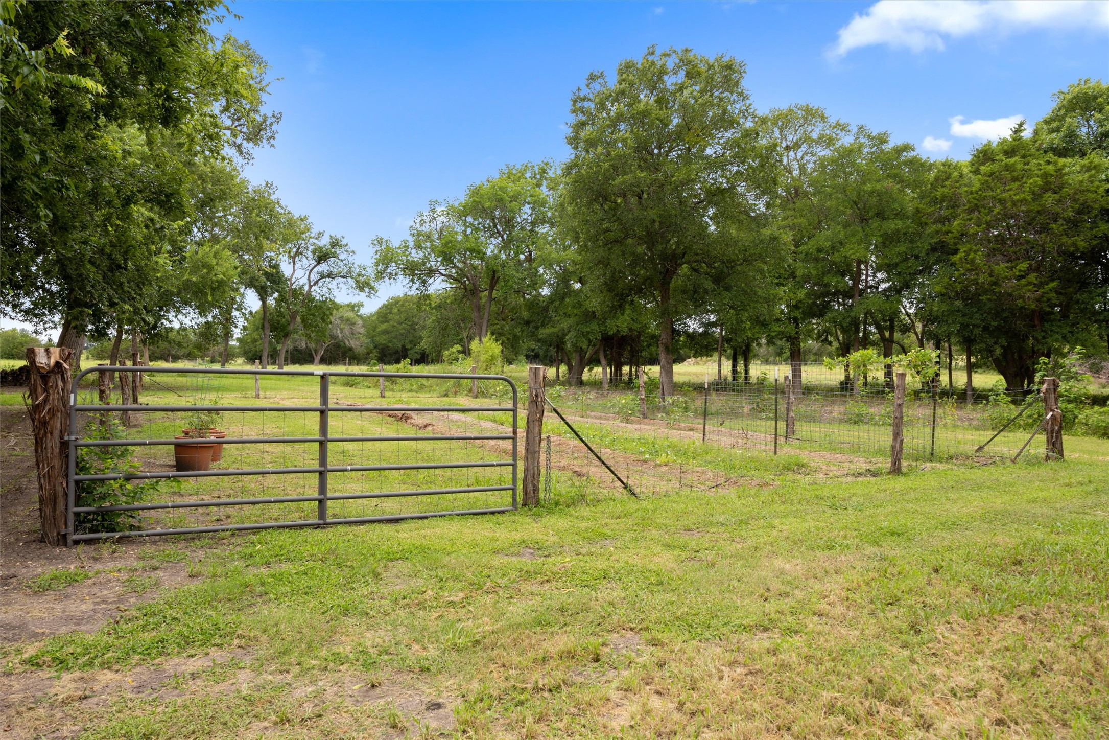 13590 Ranch Road 2338 Georgetown, TX 78633 - Photo 24 of 39 One of the many fenced areas around the property