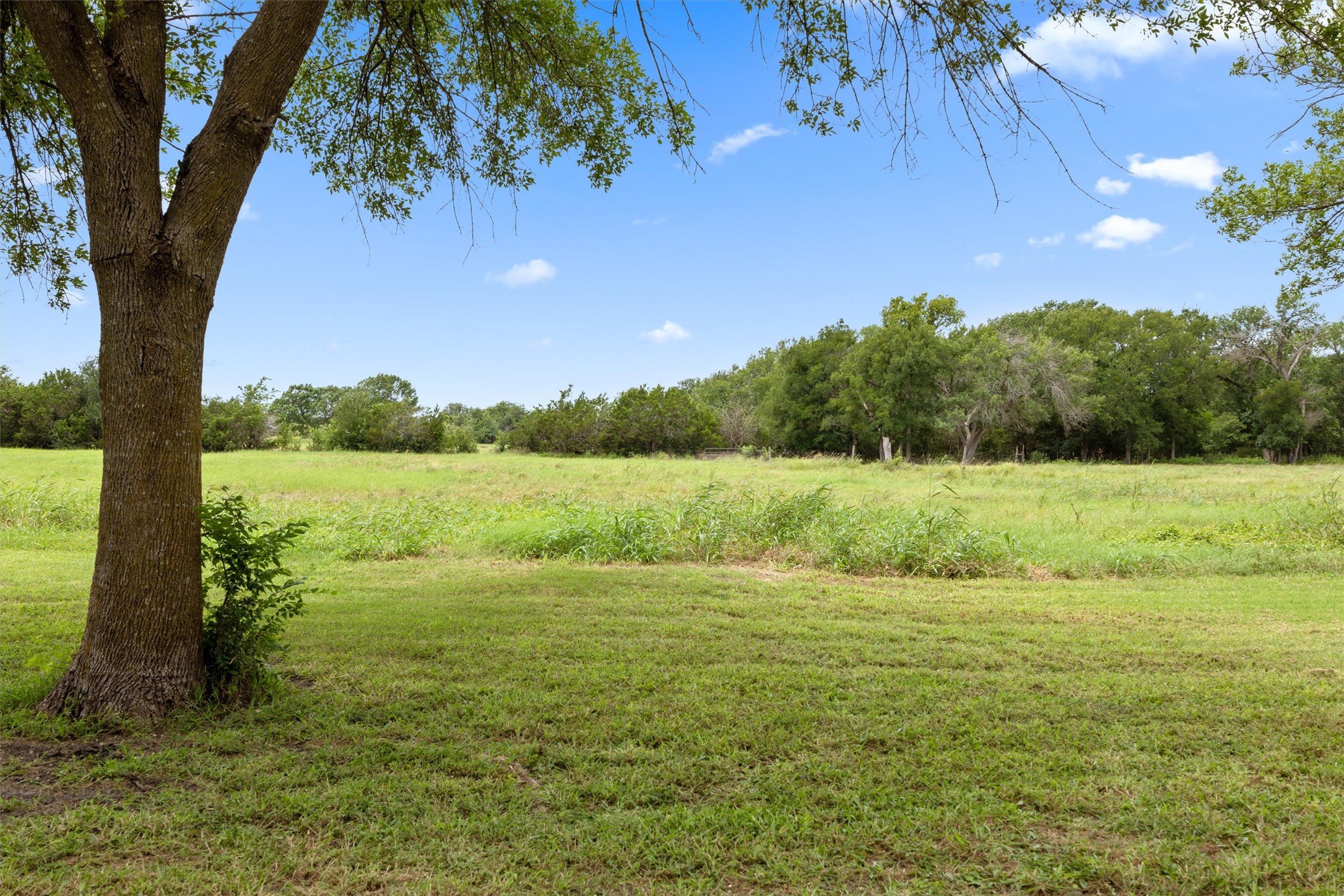 13590 Ranch Road 2338 Georgetown, TX 78633 - Photo 25 of 39 Beautiful view with no noise or neighbors!