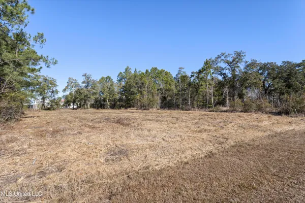 $35,000 | 0 Forest Street, Pass Christian, MS 39571