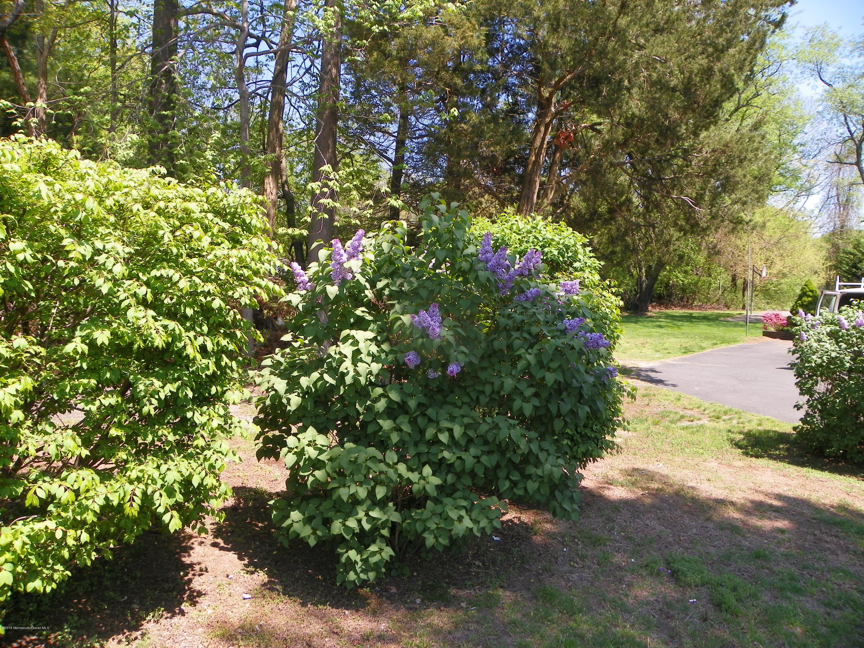 133 Tennent Road Morganville, NJ 07751 - Photo 11 of 23 022
