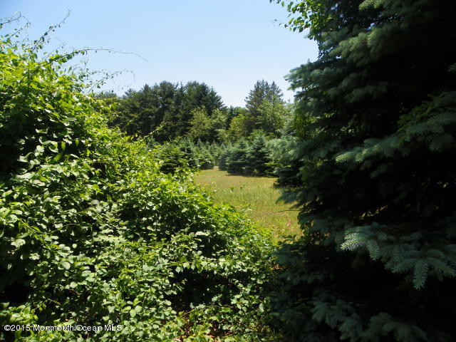 133 Tennent Road Morganville, NJ 07751 - Photo 18 of 23 015 (2)