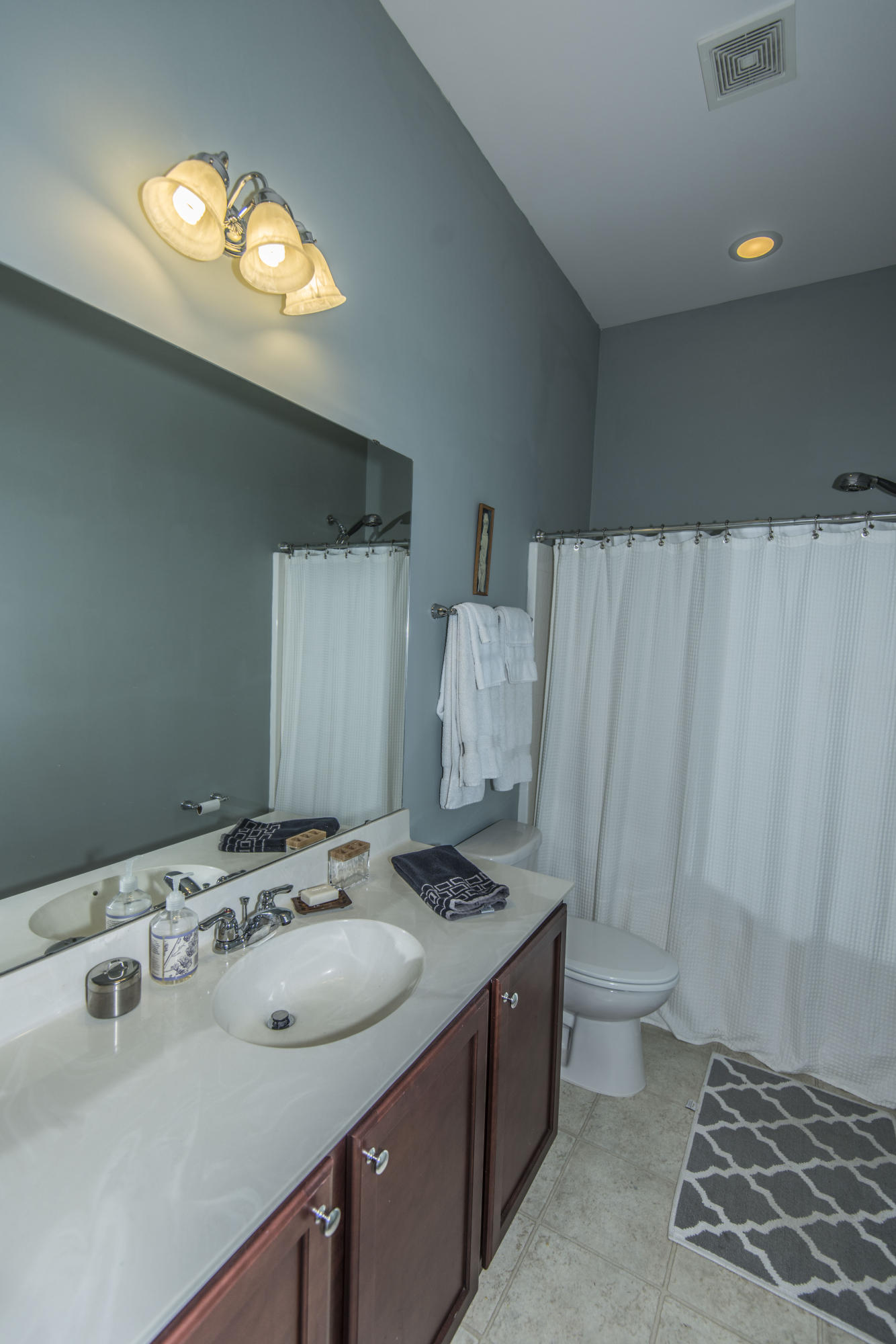 362 Fox Ridge Lane Moncks Corner, SC 29461 - Photo 30 of 41 _DSC4156