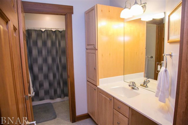 12597 Harrold Point Road Wapella, IL 61777 - Photo 14 of 25 Gallery Image 14