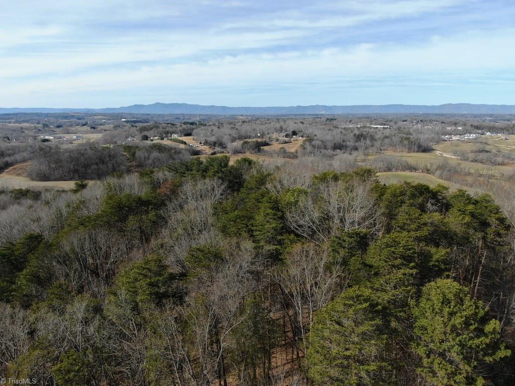 27.65-ac Doss Road Mount Airy, NC 27030 - Photo 15 of 24 Gallery Image 15