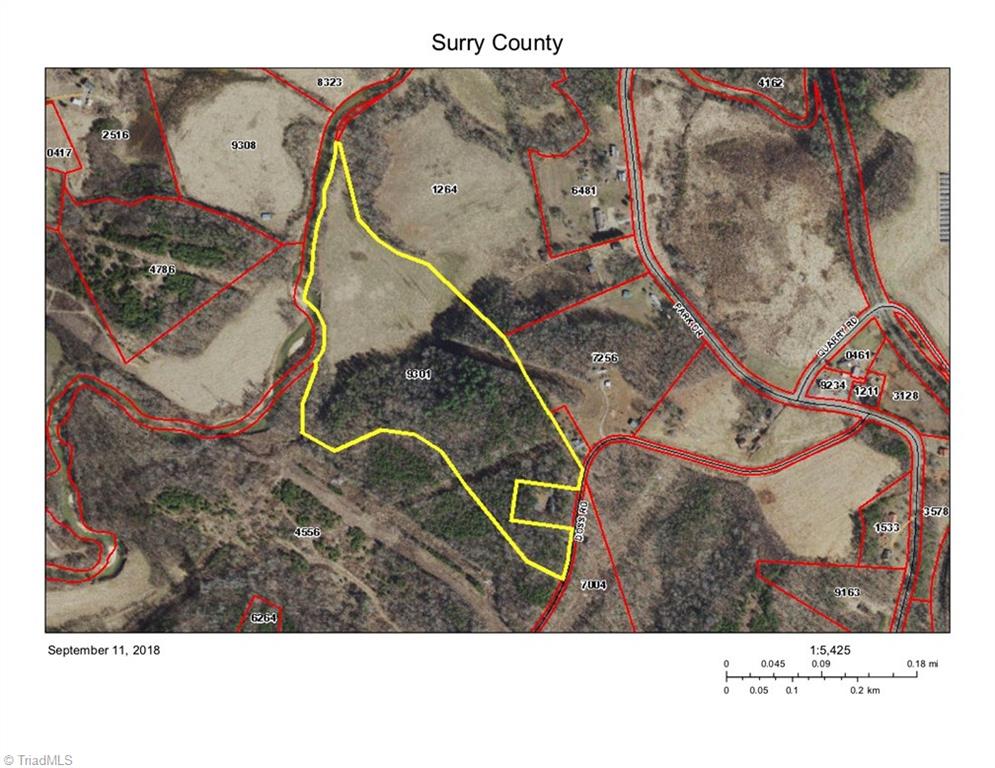 27.65-ac Doss Road Mount Airy, NC 27030 - Photo 18 of 24 Gallery Image 18